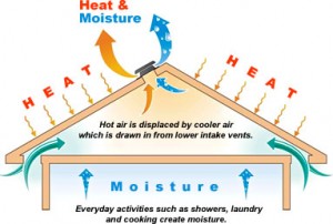 Gutter Cleaning: Leawood, Overland Park & Olathe